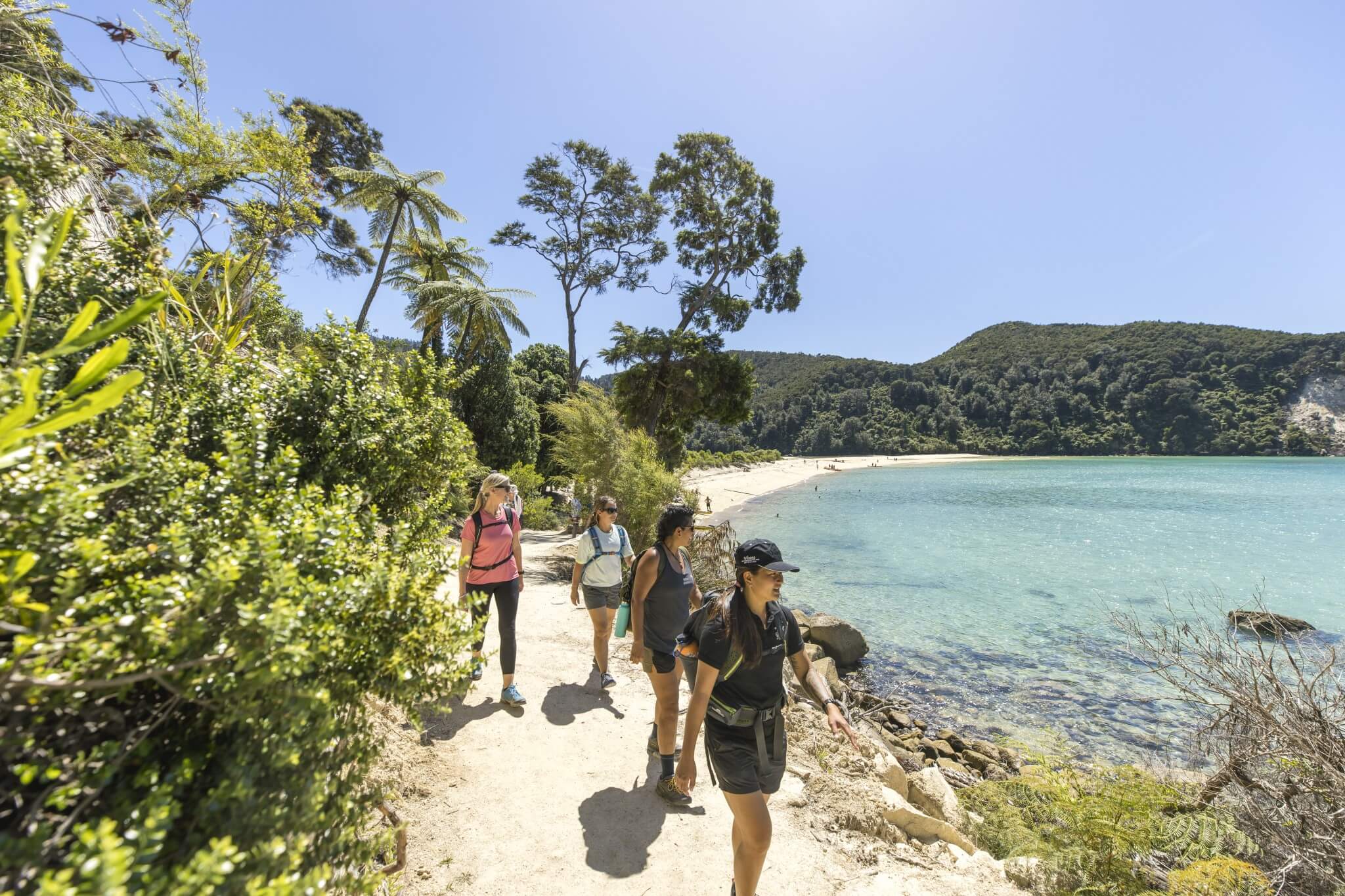 Abel Tasman National Park, Nelson. Foto: Miles Holden