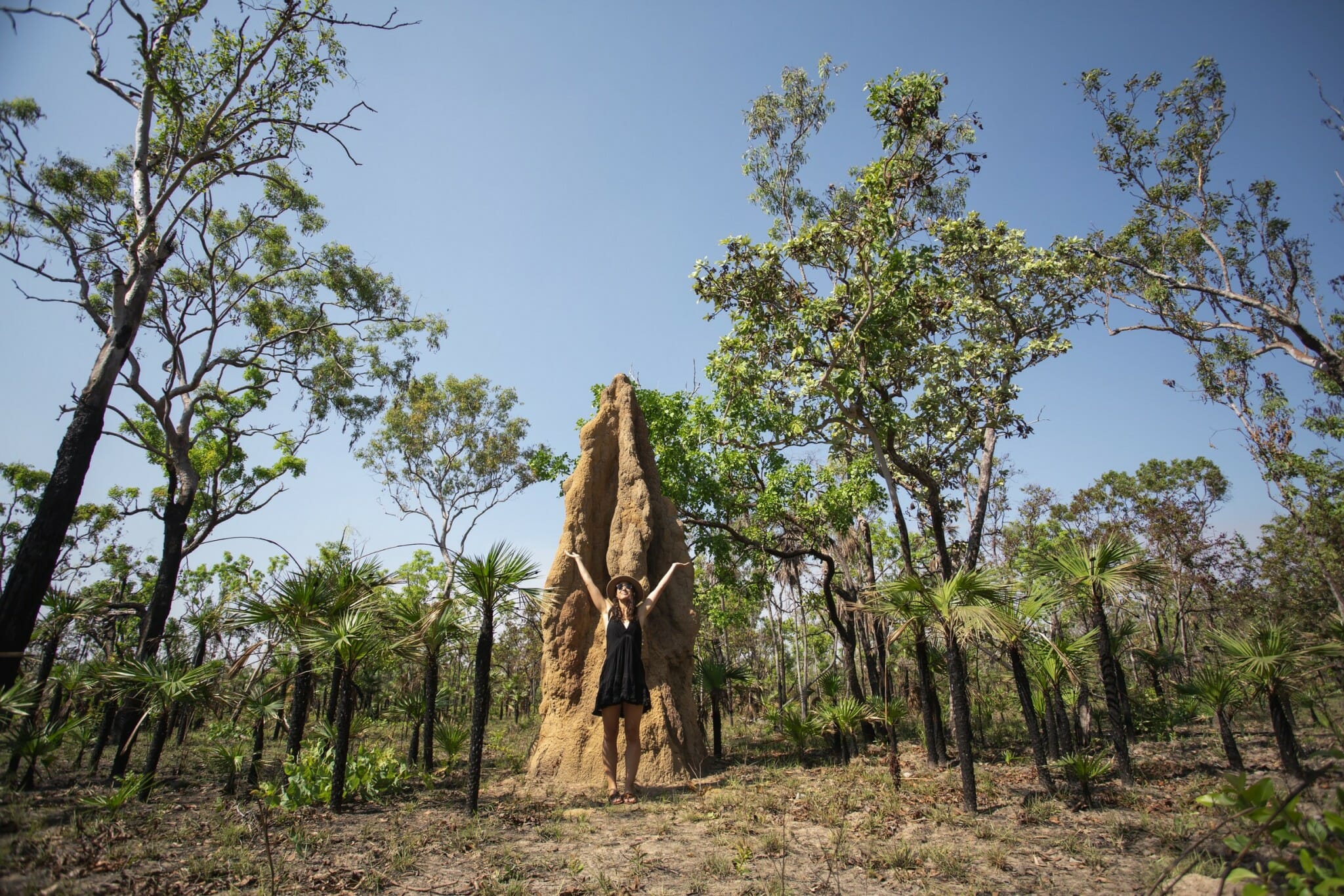 Litchfield National Park. Foto: Tourism Australia