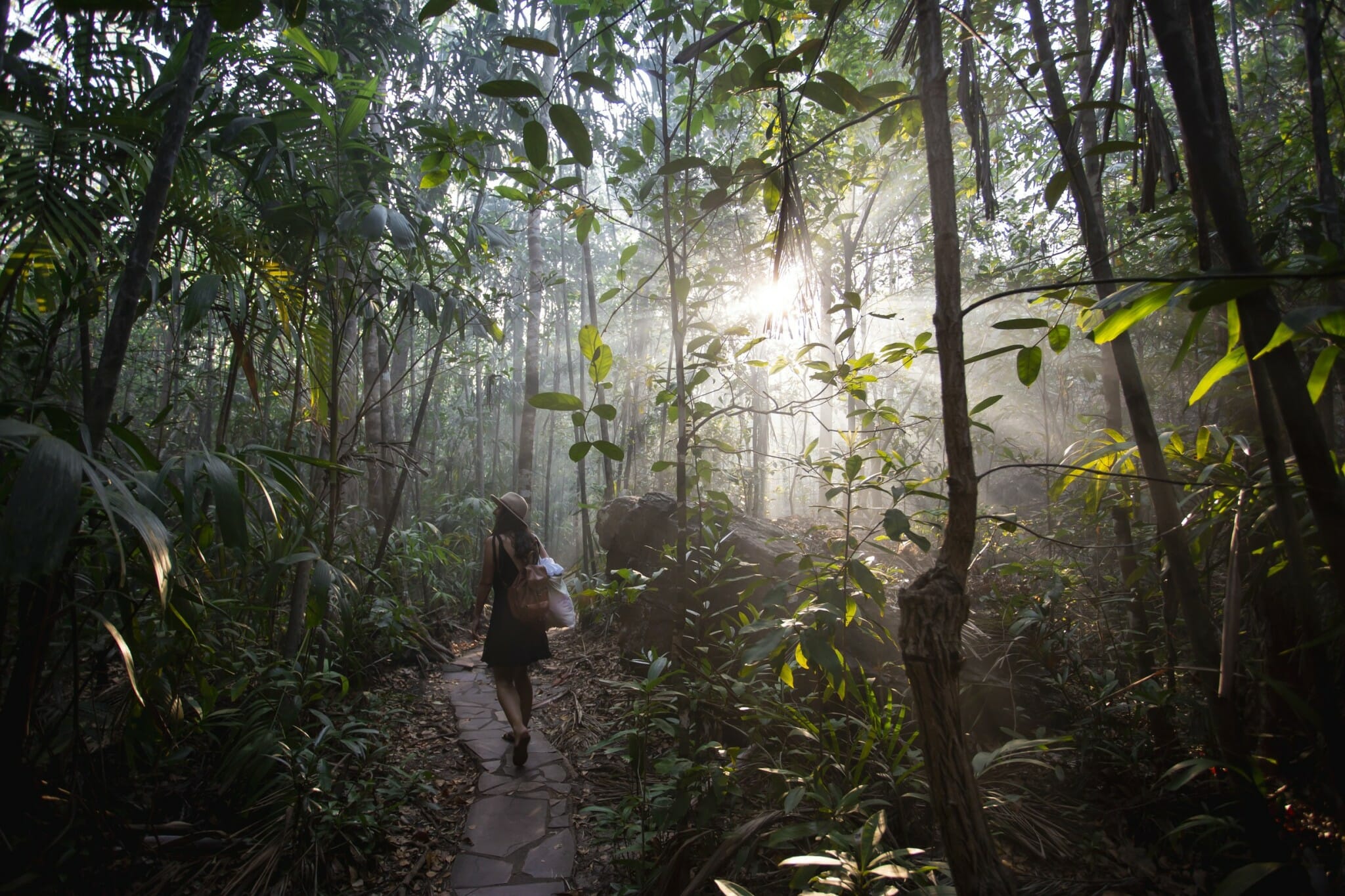 Litchfield National Park. Foto: Tourism Australia