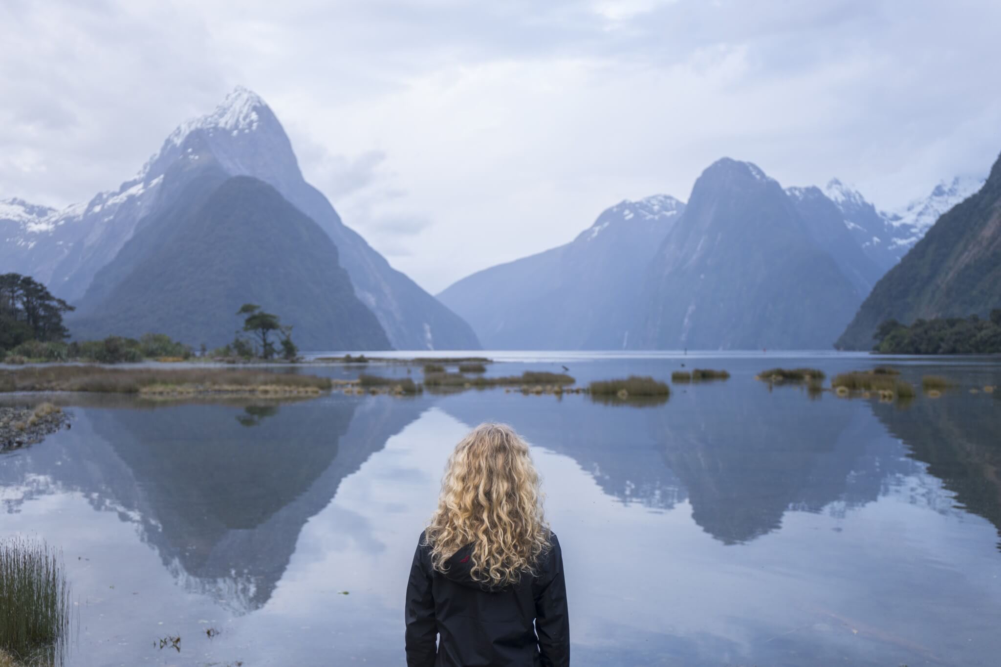 Milford Sound, Fiordland. Foto: Will Patino