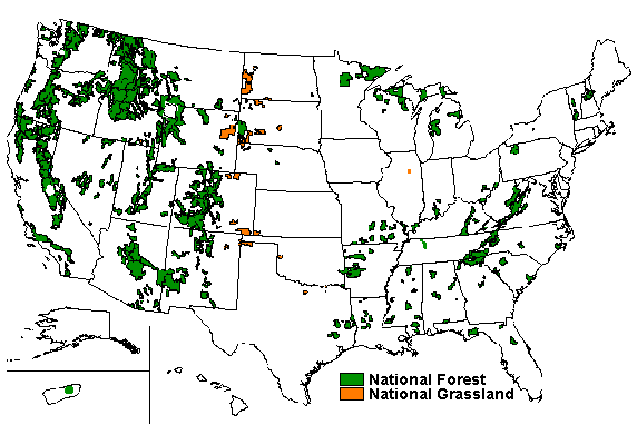 Gratis camping i National Forest i USA