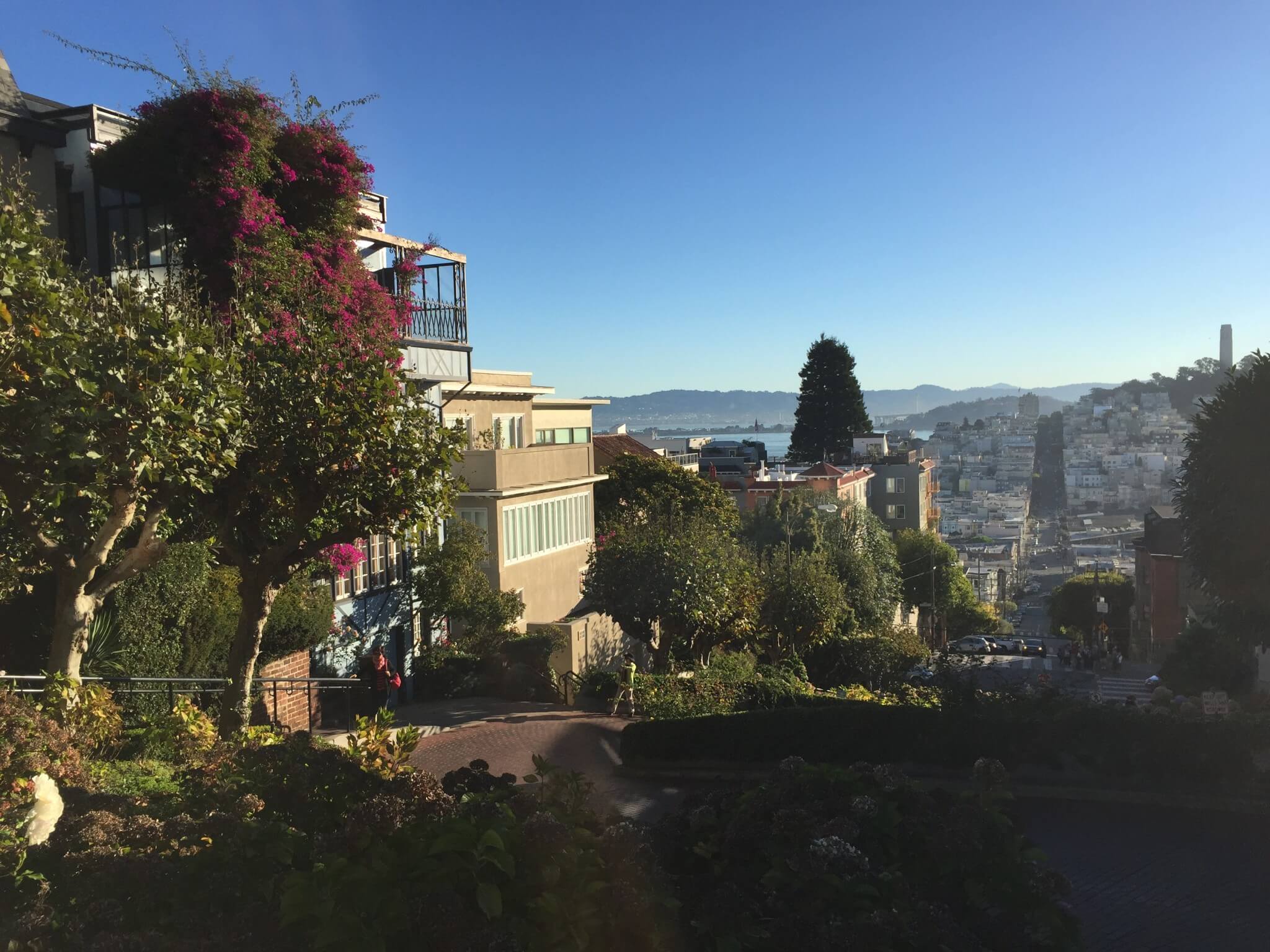 Lombard Street med Coit Tower i horisonten (længst til højre i billedet).