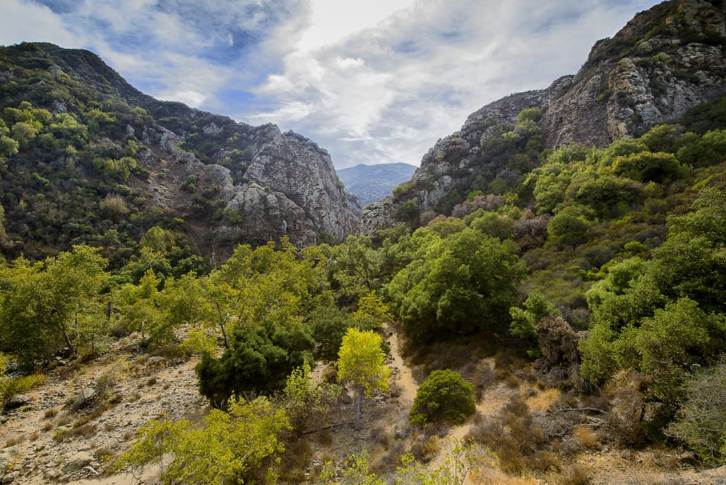 Malibu Creek State Park