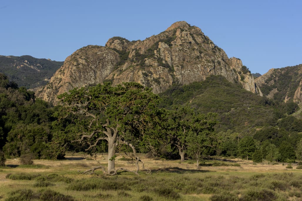 Malibu Creek State Park